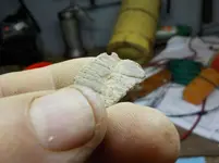 DSCN5652.webp
