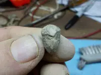 DSCN5653.webp