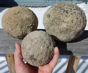 DSCN5193.webp