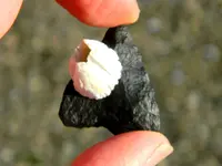 DSCN6637.webp