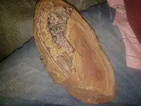 20190209_173901.webp