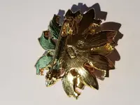 20190224_020834.webp