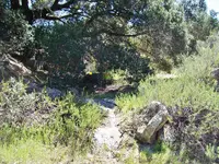Facing South from Road 60 Feet to Rock.webp