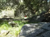 Facing North to Road.webp