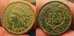 1902_IHC.webp