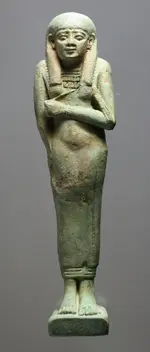 1704 irdis1.webp
