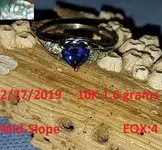 DocBeav 2019 Gold Ring #7.webp