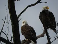 DSCN0017.webp