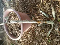 anchor pic 2.webp