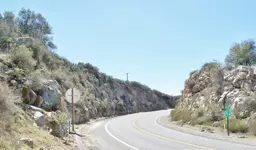 100_5488.webp