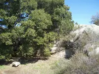 100_5499.webp