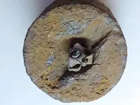 bolt bottom.webp