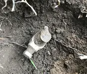 190324_frontyard_mysterya.webp