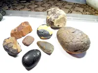 P90317-074201.webp P90317-074201.webp