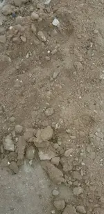 20190210_073704.webp