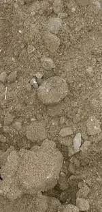 20190210_073725.webp