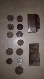 55713637_10218487687126389_6358305018478592000_n.webp