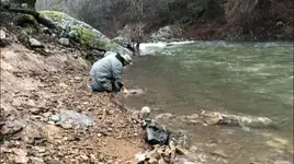 Butte Creek 2019.webp