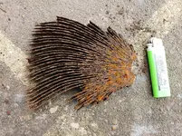 20190228_125244.webp 20190228_125244.webp