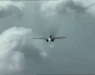 CFB179D5-E14E-4522-9048-2C8761A404CC.gif