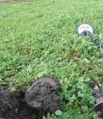 20190310_152752.webp