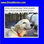 images (6).webp images (6).webp