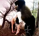 bigfoot_stealing.webp