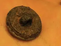 button bk.webp