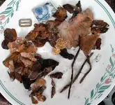 copperplaque.webp