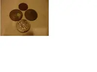First Find.webp