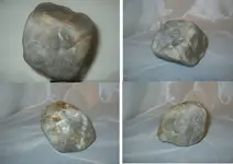 1_rock.webp
