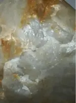 2_closeup.webp