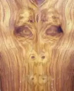 resized wood.webp