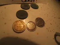 DSCF1239.webp