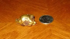 nugget 8-17 trip.webp