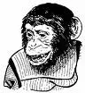 spacechimp.webp