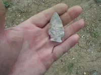 in hand.webp