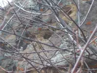 101_5118-1.webp