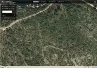 pic4.webp