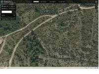 pic5.webp