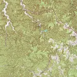 SouthOfNaturalBridgeSPTOPO.webp
