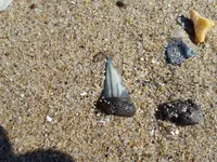 20190328_155428.webp