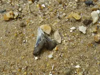 20190328_143304.webp