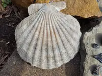 20190402_100141.webp