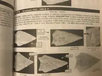 ImageUploadedByTreasureNet.com1549847992.303894.webp