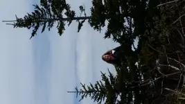 20190316_140810.webp