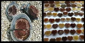 Druzy.webp Druzy.webp