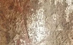 20190228_173650-crop.webp