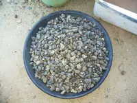 IMG_20190410_170924.webp