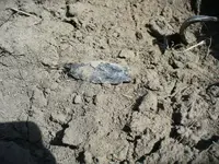 Pinto edge off badger hole #3.webp